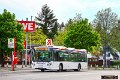 339-12,Dahmetal,JN