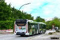 201931-24,KVG,JN