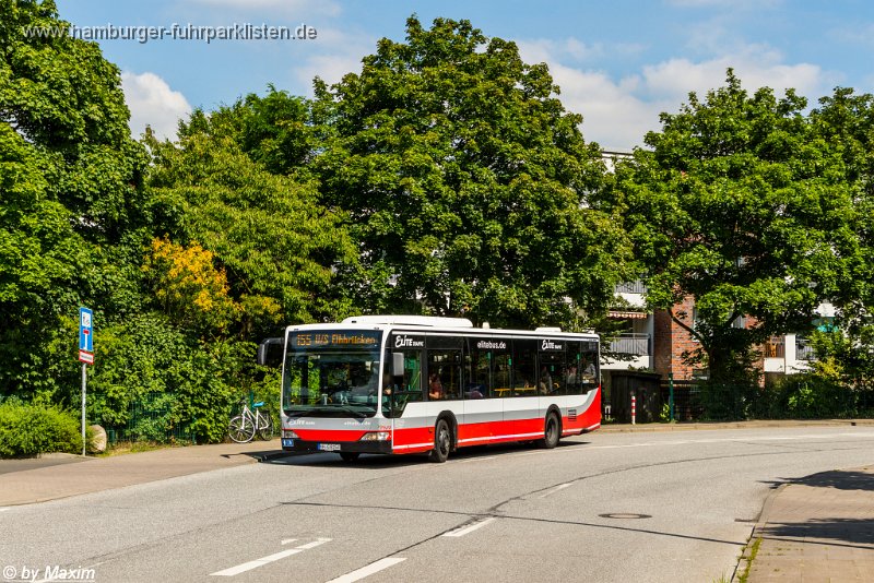 1872-12 (exHHA 6005),Elite,MM.jpg