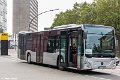 1631-11,Elite,TS