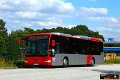 1640-12,Elite,JN