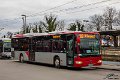 1690-11,Elite,TS