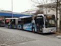 1769-21,Elite,CO