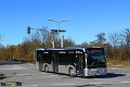 1801-11,Elite,JN