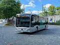 1802-12,Elite,HL